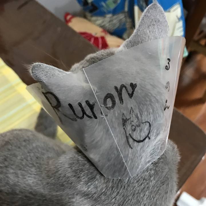 799f5dd4 4d7d 4930 83fe aa325c33b302 1512995675055