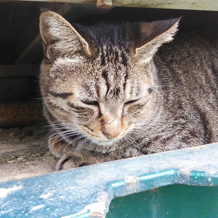 799f9430 e017 4993 a4e5 2bc669df2f0b 1601945550570