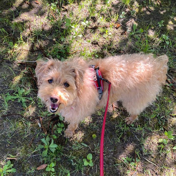 799fb929 847c 40a6 80f9 42ff255c5944 1690090389882