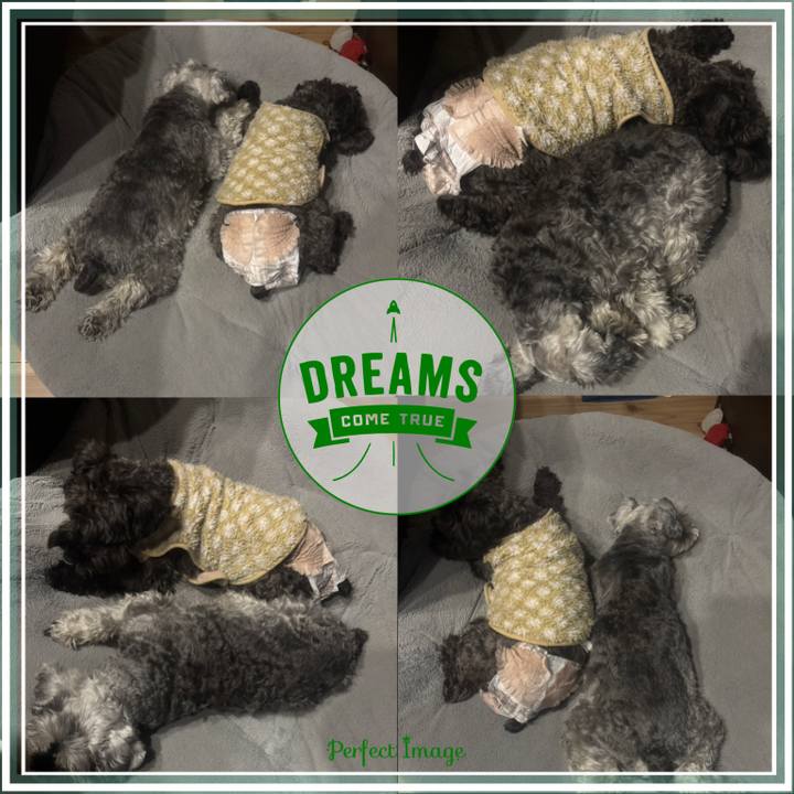 799fc9a5 1aa5 4802 add8 d42b69a848c1 1734663839114