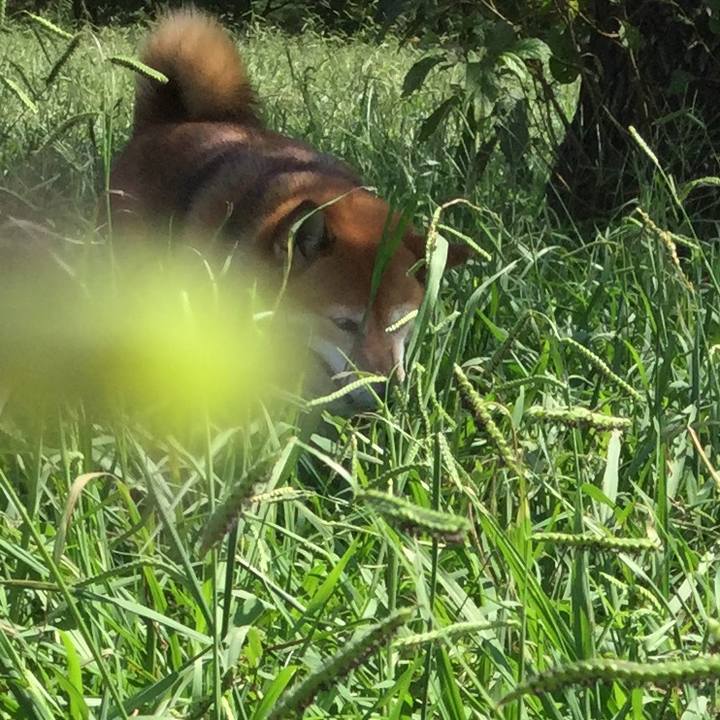 799fe646 da3d 4c50 be8c 8a37929d5372 1569391512546