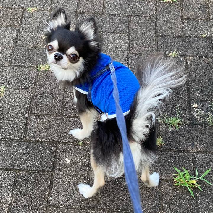 79a08c76 b867 45e6 83ad b7119d733b17 1689519329260