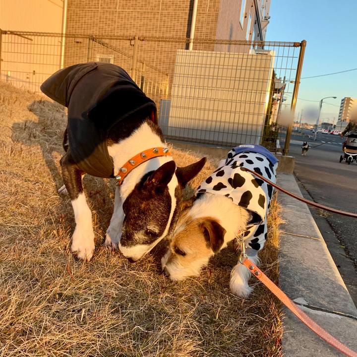 79a0dd13 6b42 4309 a614 077aaaef4220 1609671042820