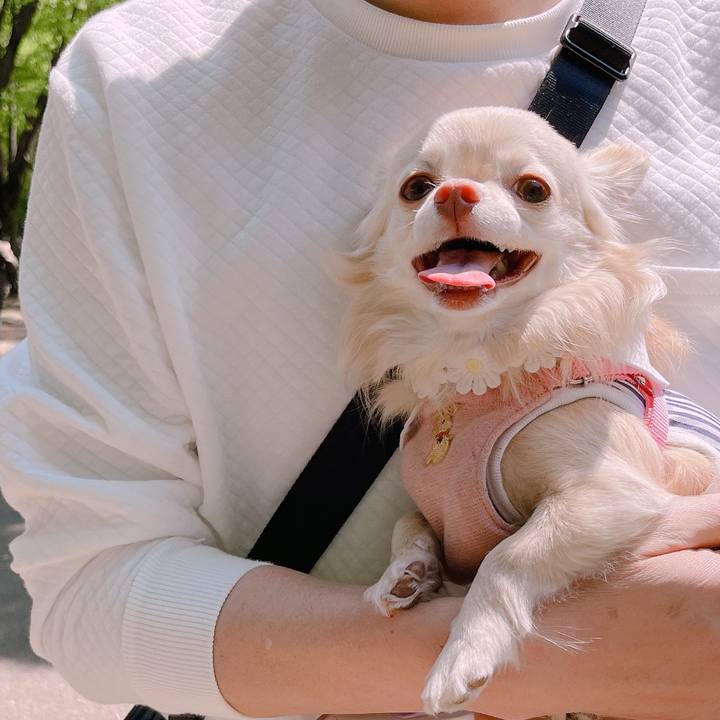 79a0e39e 8292 4f7f 9420 18101850fe30 1651556658203