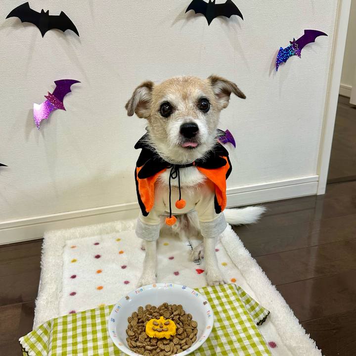 79a0eeb6 6094 4f79 b4f4 3187ef77f8cf 1698746709787