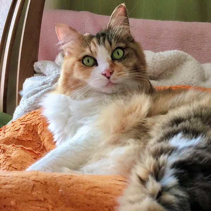 79a0fe76 6929 4d73 9b93 209eb986d4f4 1598330440681