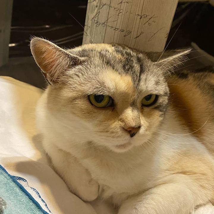 79a11bc3 8b1f 41c0 82f8 c8af4b493d4d 1623587644134