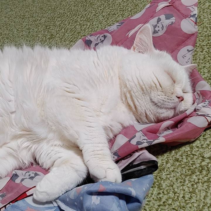 79a130e6 25ec 4938 aece f19677f7ecd8 1711884642966