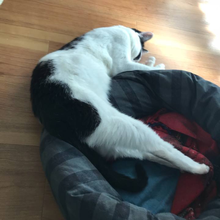 79a1341c 5320 467e b65e b129ffd71330 1526464014342