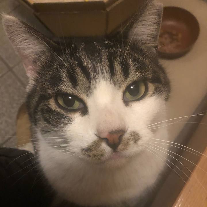 79a1650d 7ac3 4e34 b8a8 4607a49c3a5b 1579856023160