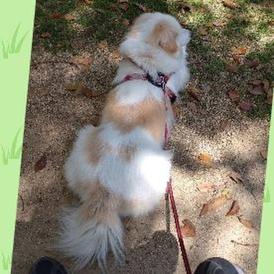 79a1822f 8650 404d ad3d 4ca5c163e63d 1650512686538