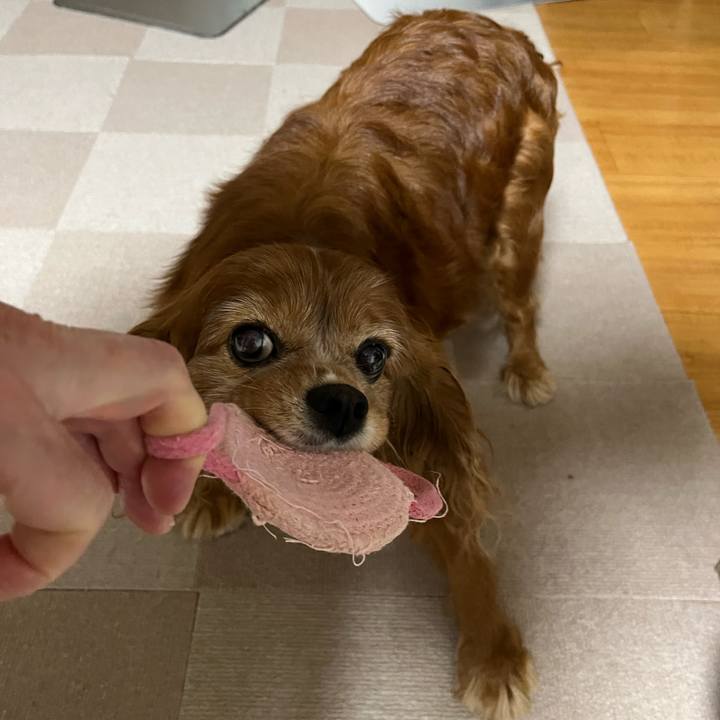 79a20756 9577 4eb8 93b1 0ccc9bebf9fa 1757974129954