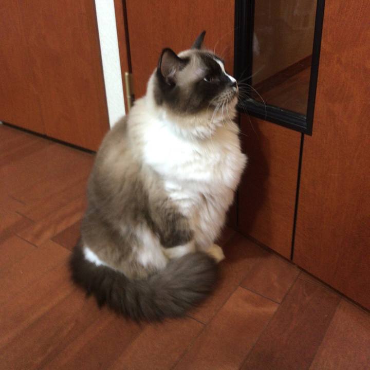 79a2393b 0ad2 4b2c b165 aec746ba3342 1512217406963