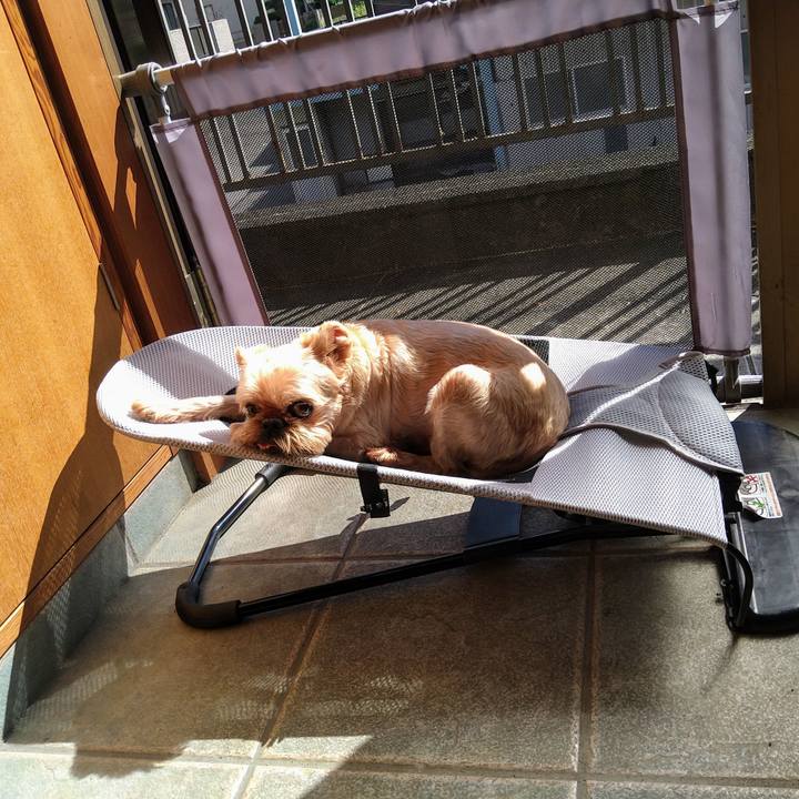 79a23cf3 169c 44e7 b3b9 40dfe4cd5fc1 1632284810965