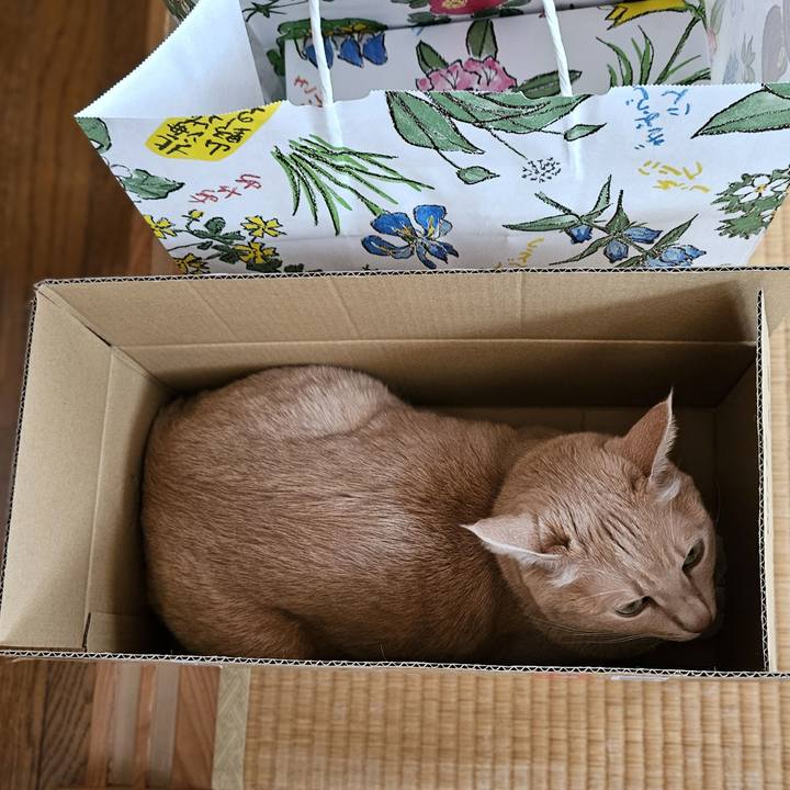 79a251f0 ee58 4d96 92bc f08e12eb7f59 1764052278551