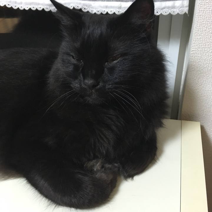 79a2b556 8218 429e ab80 dcd1428e39e8 1532447438770