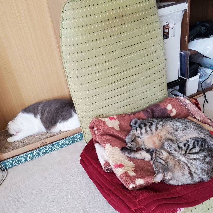 79a2c10c 655a 4816 8663 64c9e61069b9 1708090583243