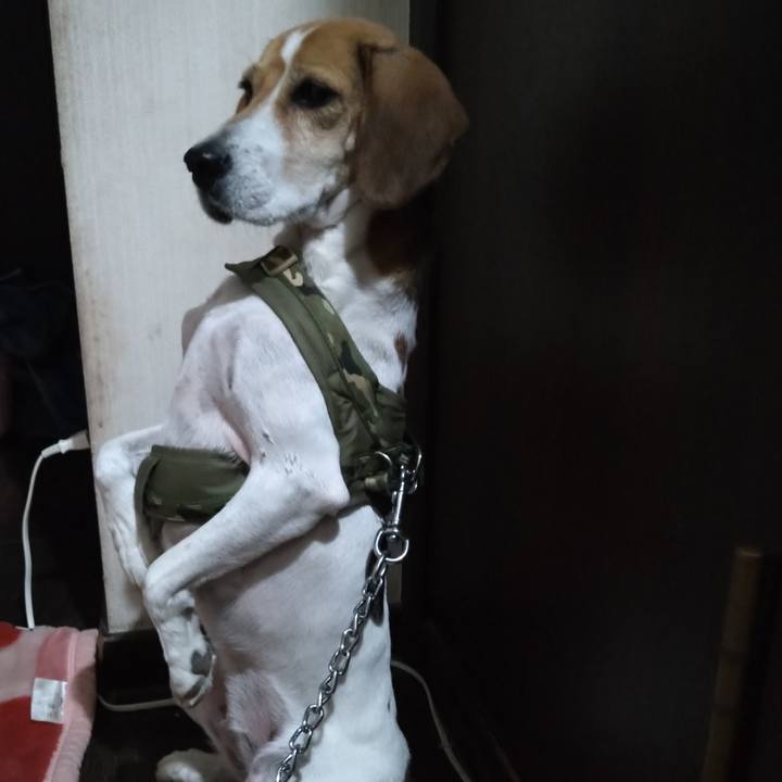 79a2dc99 043f 4a2f 962e f6693561d50f 1667744669538