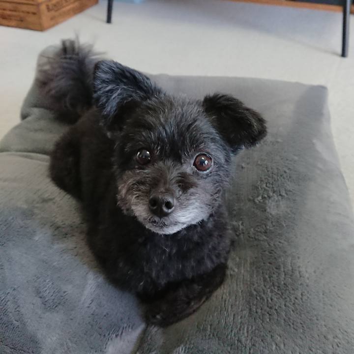 79a3009b 7494 40a4 8a3c 03bcc81cea08 1582949914560