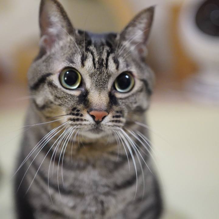 79a31b96 45b3 43c0 aeb7 f591e6918e8e 1669520464390