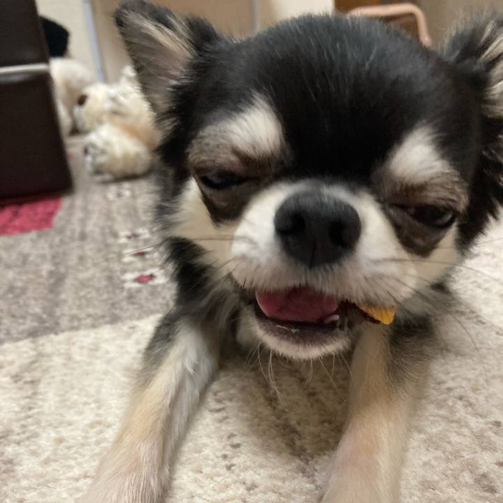 79a3452a 2af8 4523 a2bd 1d342ca86ba5 1618753440420