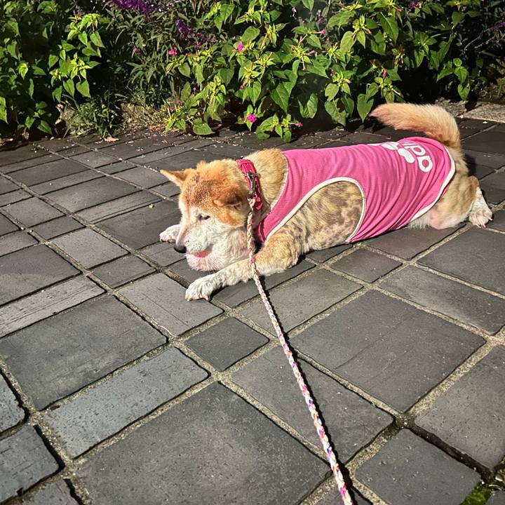 79a35140 32a1 4a8d 99bb ac37dfc7591f 1762428001615