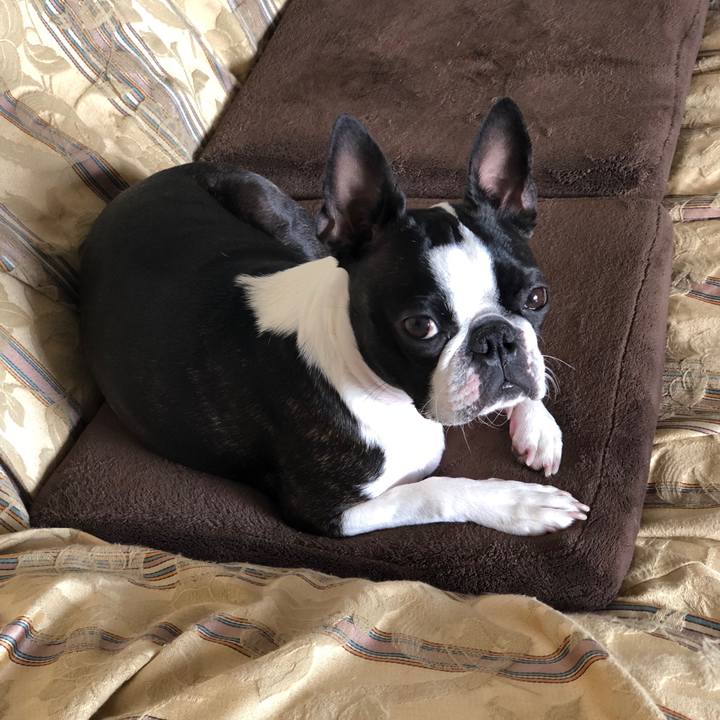 79a35bcc 3b6d 44f7 b6c8 395d457afc2b 1555554088945