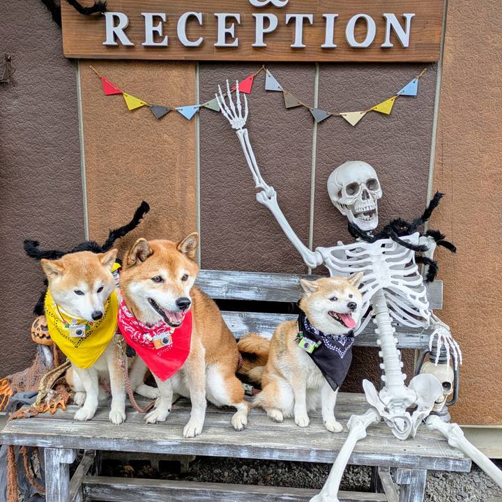 79a35fbd c276 4ab3 b88a 5e45962b33b5 1760945849234