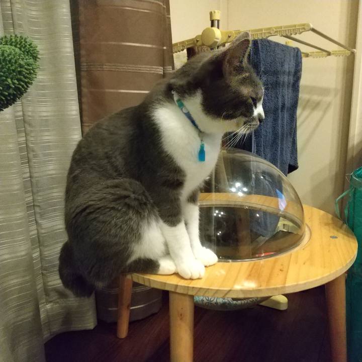 79a395f1 8bbe 41b7 a197 61b283240df9 1624884037207