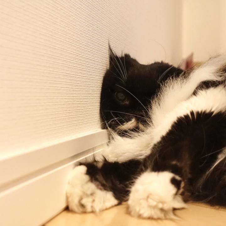 79a3ade3 1e4c 45fd aa58 ee48c527b6be 1523118340520