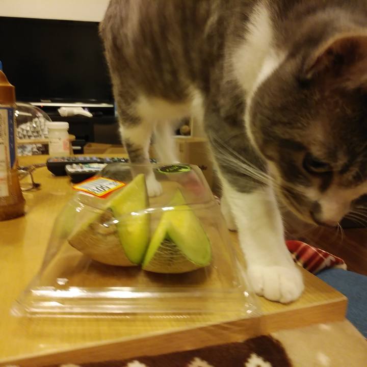 79a3b95a 1c3c 417a 88a4 5e0580d5d782 1581516652670