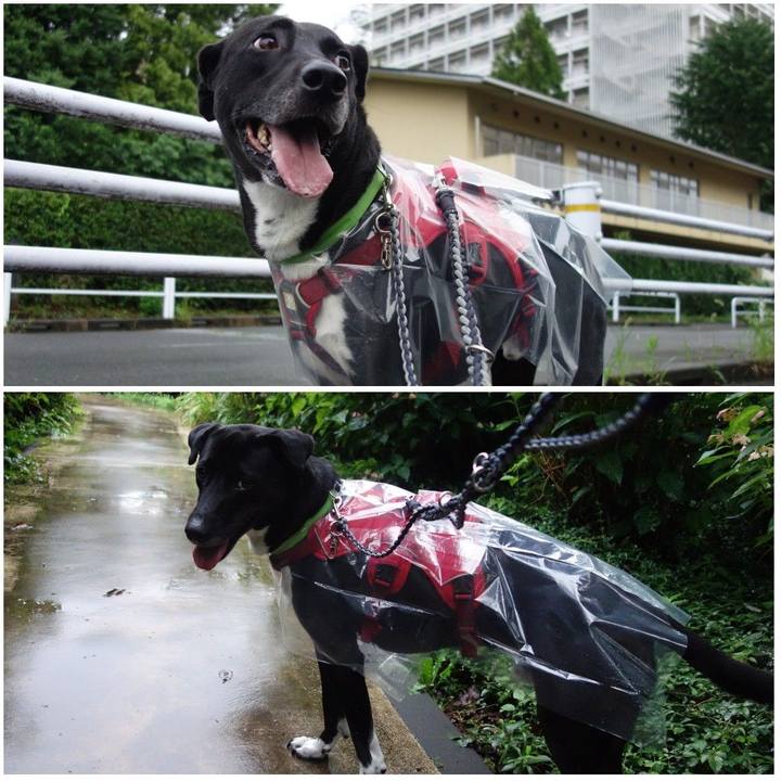 79a3db80 3b7d 4e70 a218 14d04251228b 1625222222780