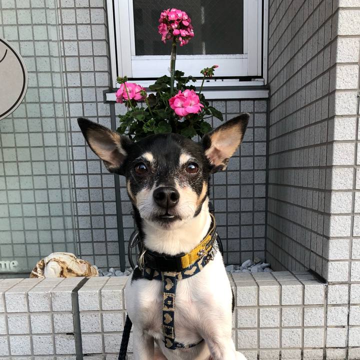 79a3f43e 17e3 4f5c 9d95 1c9eb6b86663 1524302215547