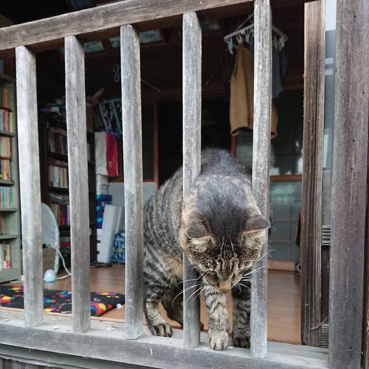 79a40841 bee7 4a4f abcb de938da2a859 1662605562057