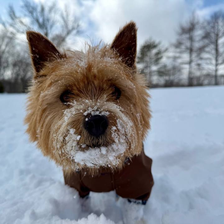 79a423f3 e819 4ade b7a1 8cb455708a0e 1769780929138