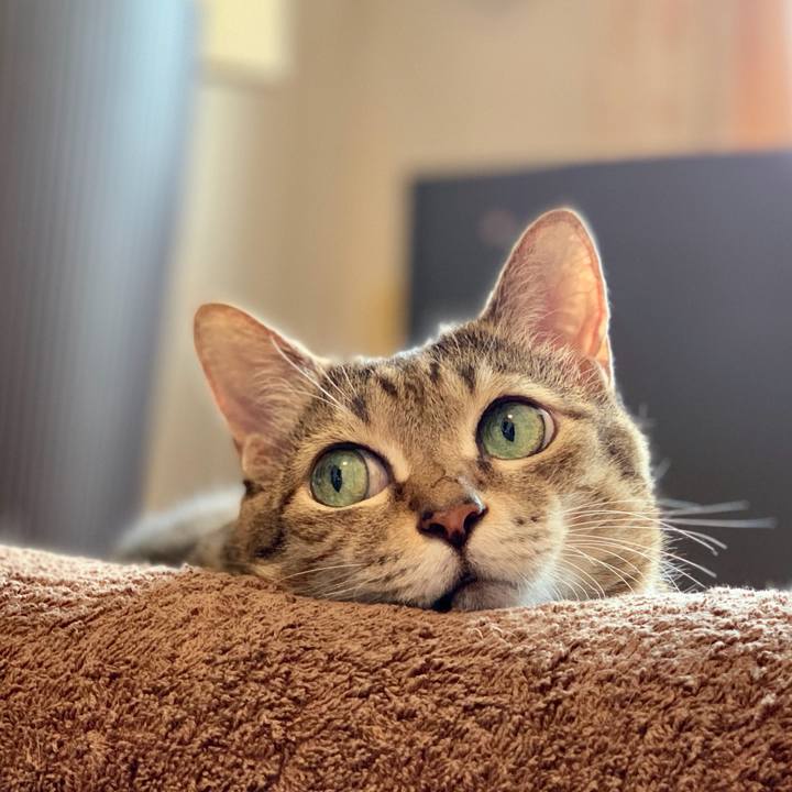 79a4297a 3ee9 48cf a374 6e69b7ceed11 1763021125538