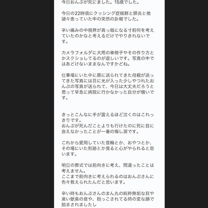 79a43e85 40e8 4465 9721 a80a7047b13c 1561564775358