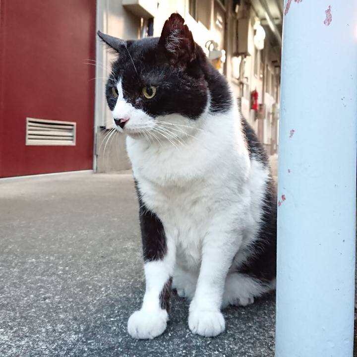 79a44d05 11bd 43ad 8913 b32c50d09eb7 1660038021292