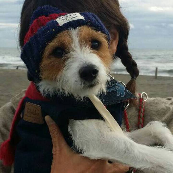 79a4671f 4061 4eb8 90be 3c3c46ab6d87 1543015142449