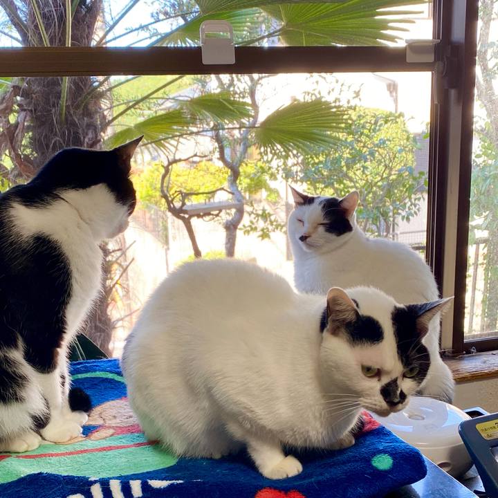 79a471f5 73d5 4f4b a8f8 70f5c6d9be69 1665621564171