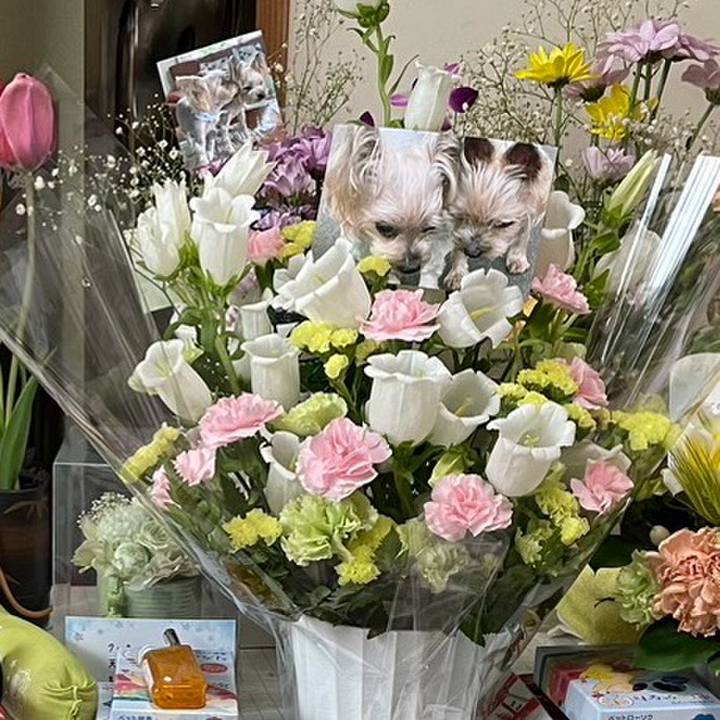 79a49977 7cff 4770 8fde 55fa31882226 1715077627965