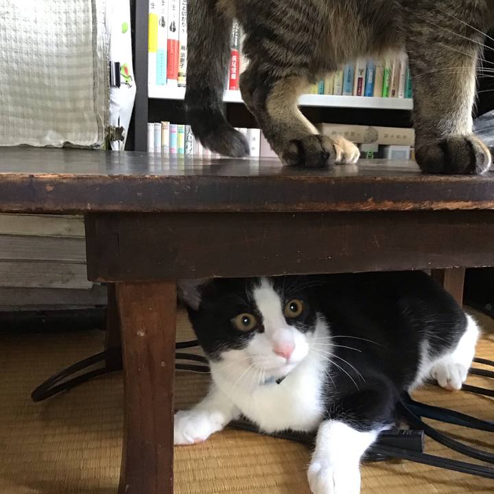 79a4ccdb c4e9 4b1f ae1a 7b9482f53c56 1631787280633