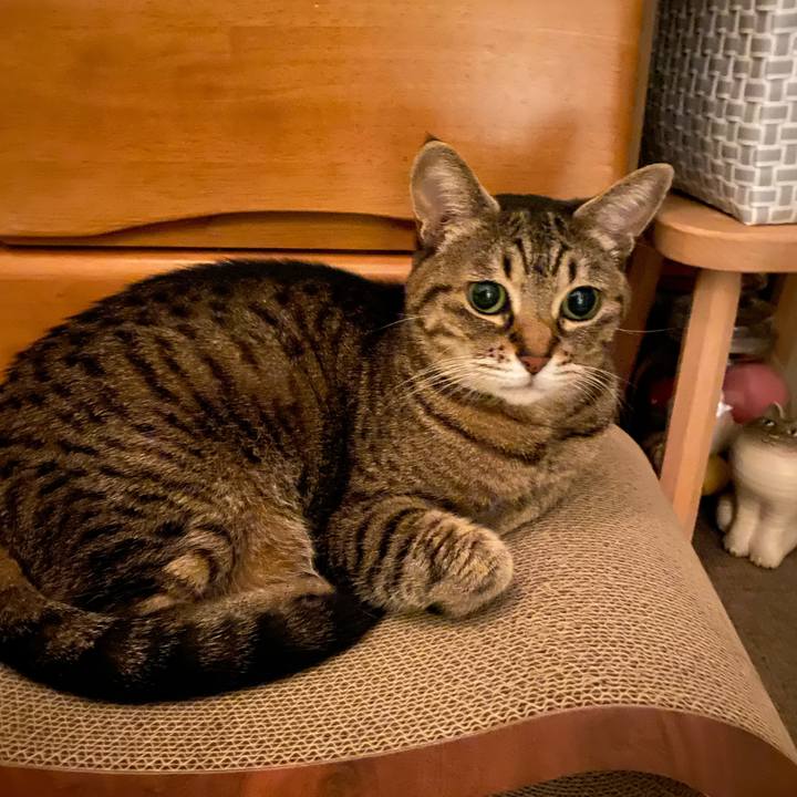 79a4e64f 2159 4c3e a298 0ec1920d7ae1 1773586111175