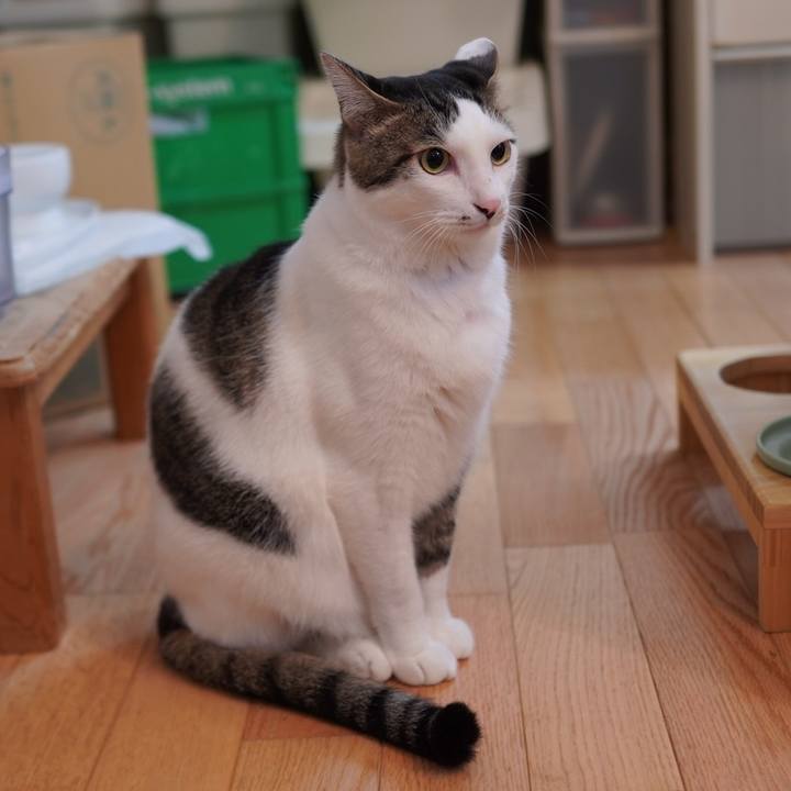 79a5035c 9781 4418 85fe 1ee2f483838a 1637244657472