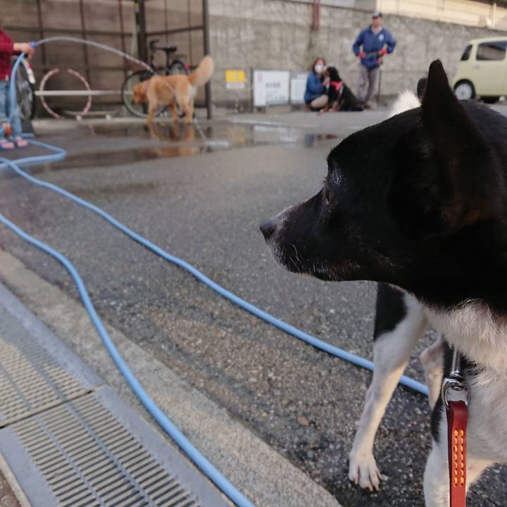 79a521c9 2417 48d7 bdb9 1505af695dbf 1522576720549