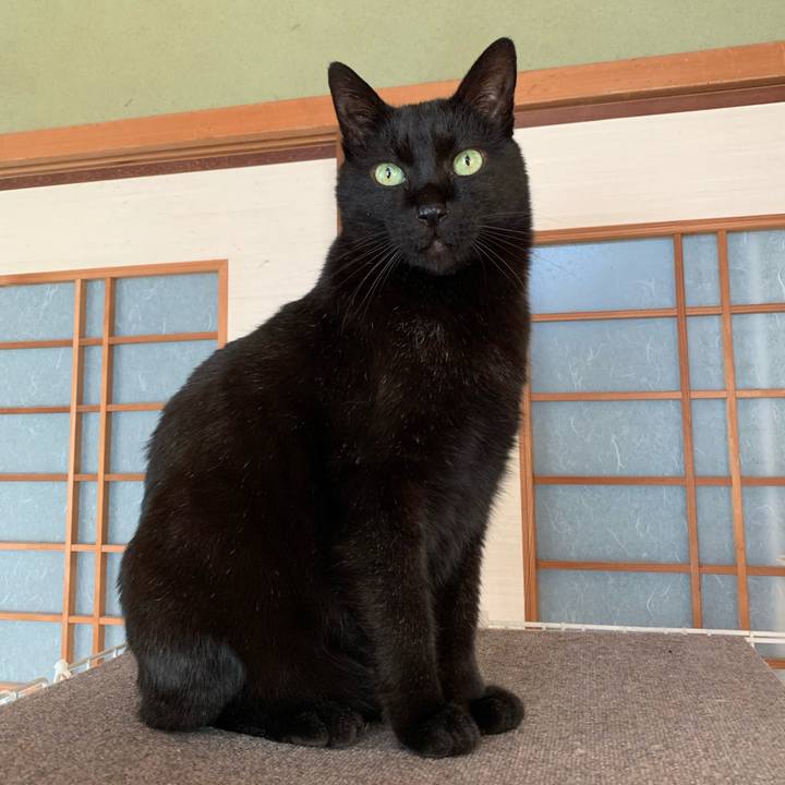 79a53abc 9844 408c 8c93 009193463af6 1584408368977