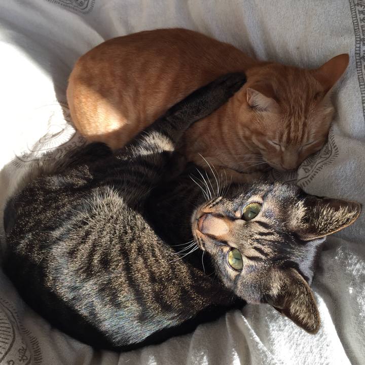 79a53ea8 e283 4ed4 9d0d a4c94a7bc309 1519283992249