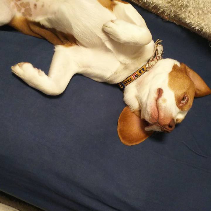 79a555c6 a889 4a23 be6b e372b80e0745 1591371258043