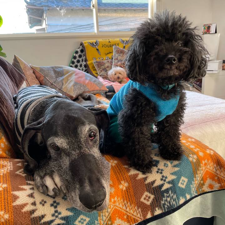 79a57789 9917 415d b483 516cf55adf2f 1639521201411