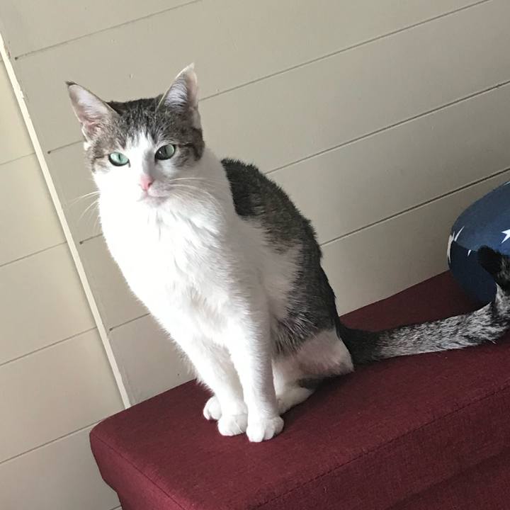 79a5c222 b28d 400b ad78 ffd13726abe4 1658901767966